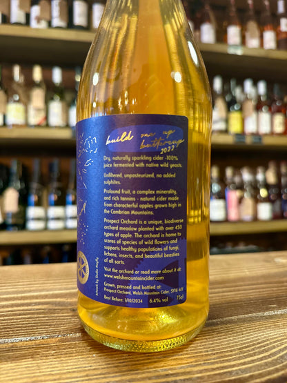 Welsh Mountain Cider “Build Me Up Buttercup” 2022
